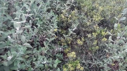 Explore Stunning Destinations in Episode 20 🌍