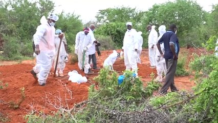 "예수 만나려고"...케냐 사이비 종교 사망자 73명으로 늘어 / YTN