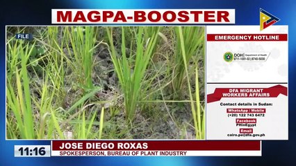 Download Video: Pagbaba ng supply ng gulay sa bansa, posibleng maging epekto ng El Niño