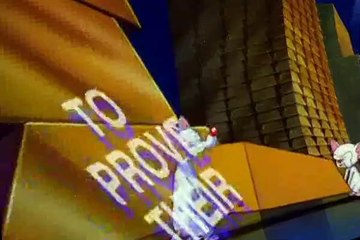Pinky and the Brain Pinky and the Brain S04 E006 The Pinky and the Brain Reunion Special