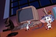 Pinky and the Brain Pinky and the Brain S04 E008 Project B.R.A.I.N.
