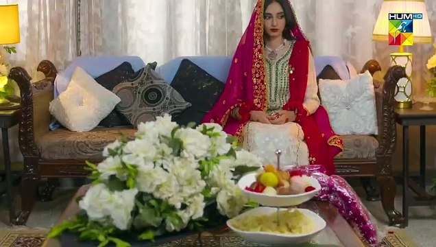 Meesni - Promo -Recap Episodes - Monday To Sunday At 07 Pm Only On FLO Digital