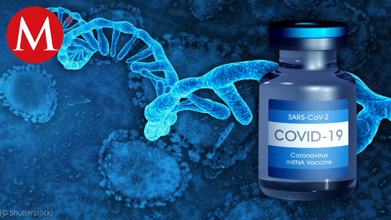 El Dr. Francisco Moreno nos detalló cuál sería el esquema de vacunación ideal contra Covid-19