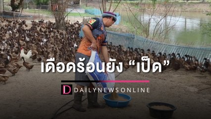 ค่าไฟแพงเดือดร้อนยัง "เป็ด" | HOTSHOT เดลินิวส์ 25/04/66