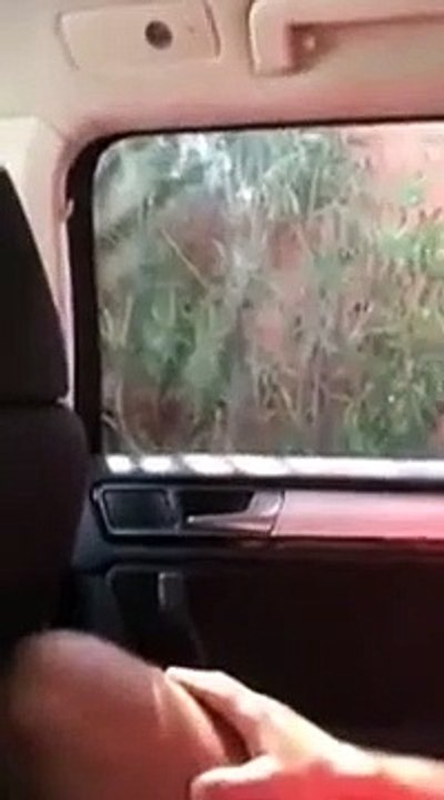 Il essaie de voler une voiture aux vitres teintées alors que le propriétaire est dedans