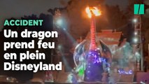 En plein spectacle, un dragon prend feu à Disneyland