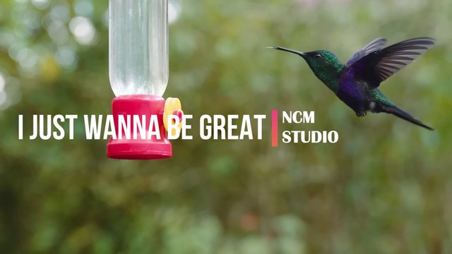 I Just Wanna Be Great - NEFFEX: Alternative Music, Happy Music