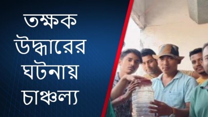 বিলুপ্তপ্রায় প্রাণী উদ্ধার! এলাকা জুড়ে চাঞ্চল্য