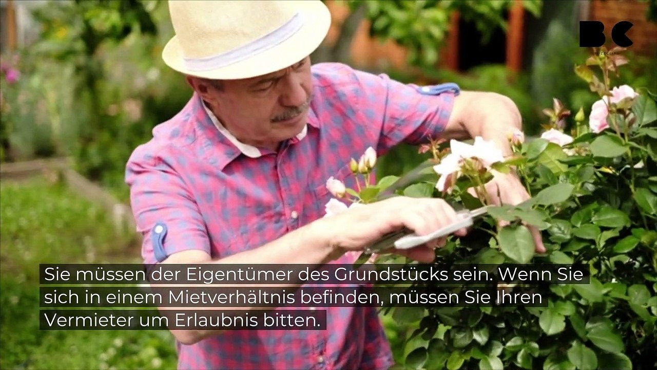 Darf man einen Hund im Garten begraben? video Dailymotion