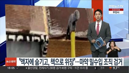 "액자에 숨기고, 책으로 위장"…마약 밀수입 조직 검거