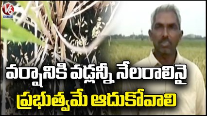 Unseasonal Rains Cause Huge Crop Damage In Jagadevpur _ Siddipet _ V6 News