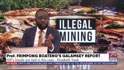 The Big Stories || Prof. Frimpong Boateng's Galamsey Report Saga || - JoyNews