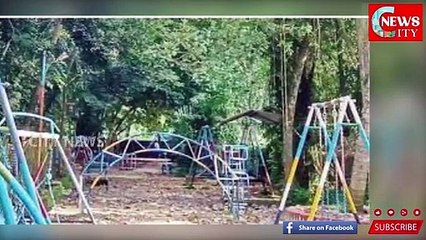മനയ്ക്കച്ചിറ പാർക്ക് പ്രവർത്തനം പുനർസ്ഥാപിക്കാൻ ഒരുങ്ങി പഞ്ചായത്ത്