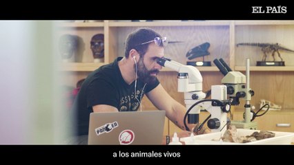 [BORRAR] La aventura de Paco Gascó, el paleontólogo que encuentra el futuro en los fósiles | Luces Largas