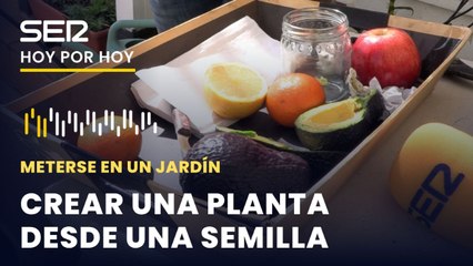 ¿Cómo creo una planta a raíz de una semilla de la basura? Consejos de Eduardo Barba