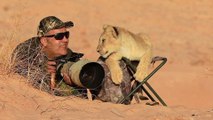 Watch the moment a cute lion cub assists a photojournalist with his photography