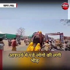 सफेद हाथी पर टिकी निगाहें