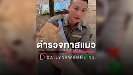 เอ็นดูคุณตำรวจ! แฟนสาวโพสต์คลิปแฟนหนุ่ม ถามกลับไปทำงานหรือไปเก็บแมว?  | HOTSHOT เดลินิวส์ 25/04/66