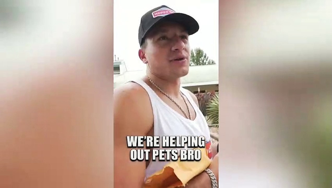 SteveWillDoIt Saving Pets Lives