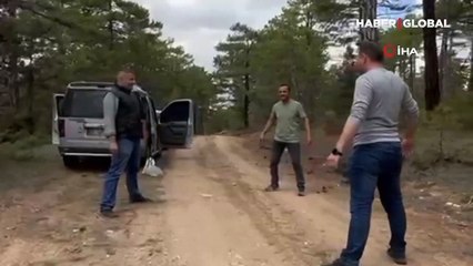 Kilosu 3 bin liralık mantarı bulunca göbek attılar