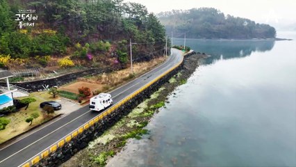 1년에 40일 밖에 못 잡는 희귀어종?! 봄철에만 잡히는 '사백어'의 모습 大공개!