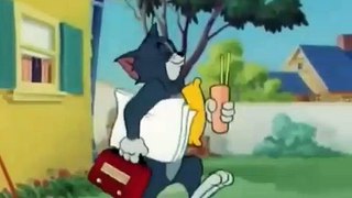 Tom and Jerry Cat Napping Classic Cartoon Tom and Jerry