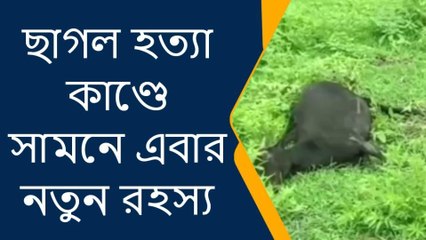 ময়নাগুড়ি: ছাগল হত্যা কাণ্ডে সামনে এবার নতুন রহস্য