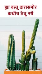 ह्या तीन वस्तू दारासमोर कधीच ठेवू नये.. अन्यथा