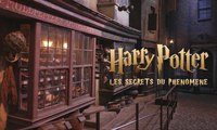 Harry Potter : les secrets du phénomène