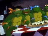 Teenage Mutant Ninja Turtles (1987) S07 E019 Night of the Rogues