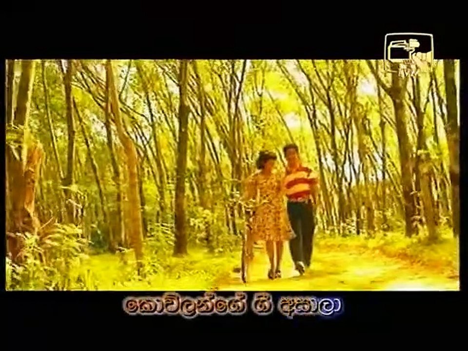 සැනසෙන් නැලවෙන්න - අතුල අධිකාරී