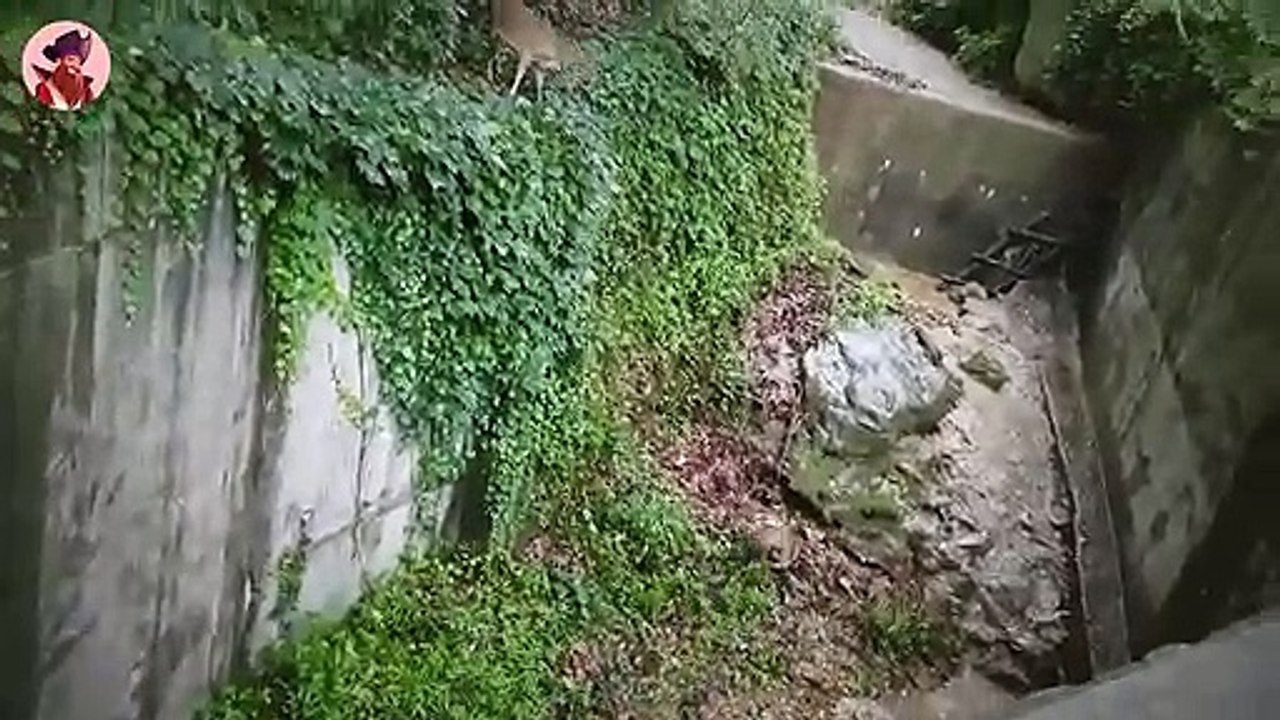 15 Epische Und Tödliche Jagden Wilder Tiere