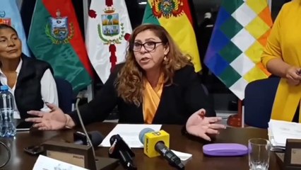 Comisión Mixta desautoriza opiniones de Iván Lima sobre proceso de elección judicial