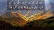 Most Beautiful Urdu Quotes | Aqwal e zareen | URDU QUOTES LIBRARY | Best life quotes