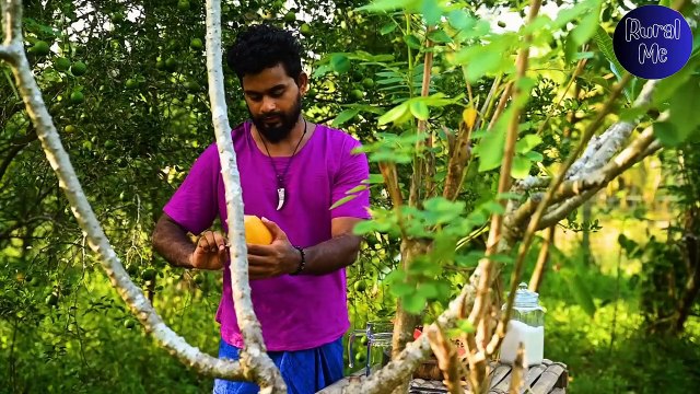 Red lady Papayas - PART 2 _ Golden Papayas for creamy Papaya boat & Pineapple drink _ Rural Me
