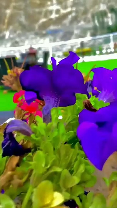 Beautiful Attabad Lake Hunza Valley Gilgit Baltistan  #pakistan #beauty #beautiful