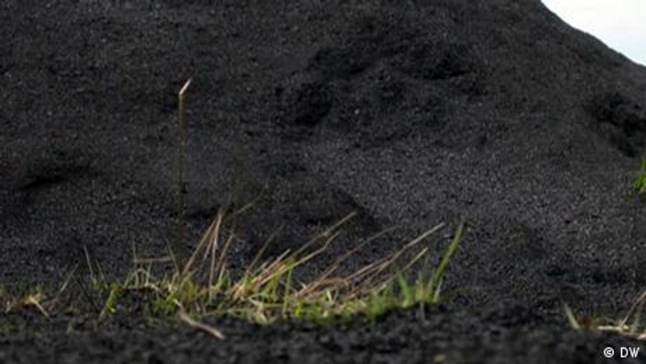 Pflanzenkohle: Kakao fürs Klima