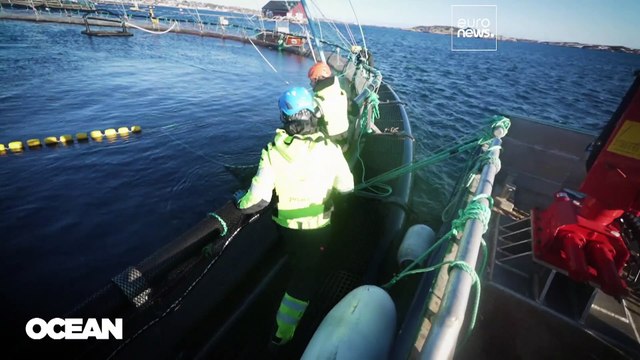 Из школы - в море: какие навыки помогут найти морскую работу в Европе?