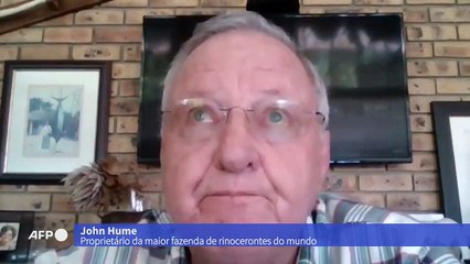 Maior fazenda de rinocerontes do mundo vai a leilão