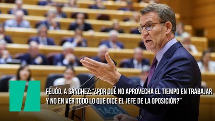 Feijóo, a Sánchez:“¿Por qué no aprovecha el tiempo en trabajar y no en ver todo lo qué dice el jefe de la oposición?”