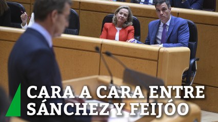 De "chasco" a "podemizado": el cruce de acusaciones entre Sánchez y Feijóo en el Senado