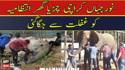 Death of Noor jahan woke up Karachi Zoo administration from negligence