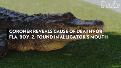 Coroner Reveals Cause of Death for Fla. Boy, 2, Found in Alligator's Mouth