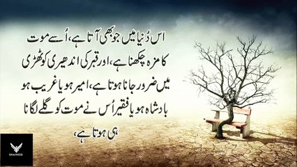 Maut Ke waqt Ke 5 farishtay the 5 angels by shah.tv.pk Dailymotion.com