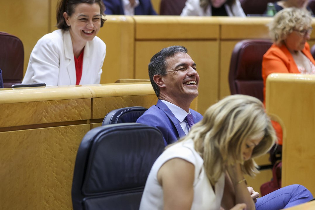 Sánchez, sobre el liderazgo de Feijóo: "O le viene grande o le queda lejos"
