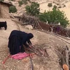 Baking oak fruit bread by a rural woman - Iran  rural family