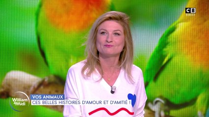 Vos animaux : Ces belles histoires d'amour et d'amitié !