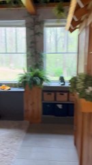 Giant Home Has Lots To Discover