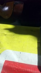 Rio Saputra - Pesawat Tempurku (By Iwan Fals)