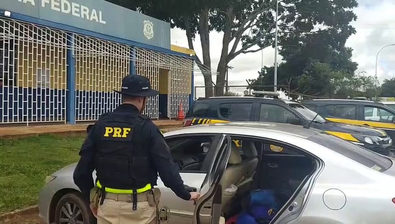 PRF apreende vinte aves silvestres em Planaltina - DF